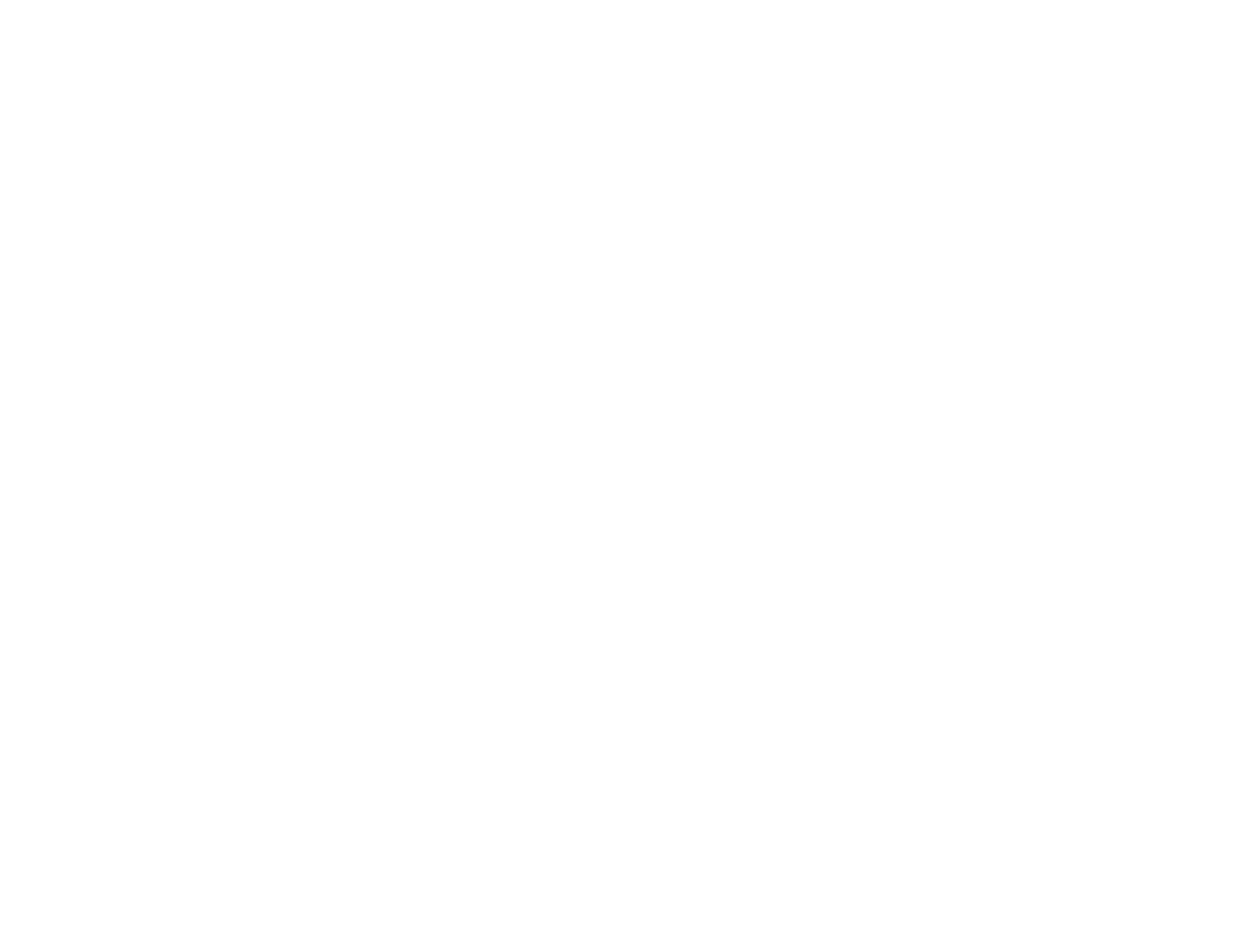 Logo destello andino